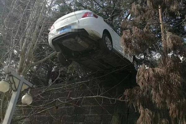 CP Foton